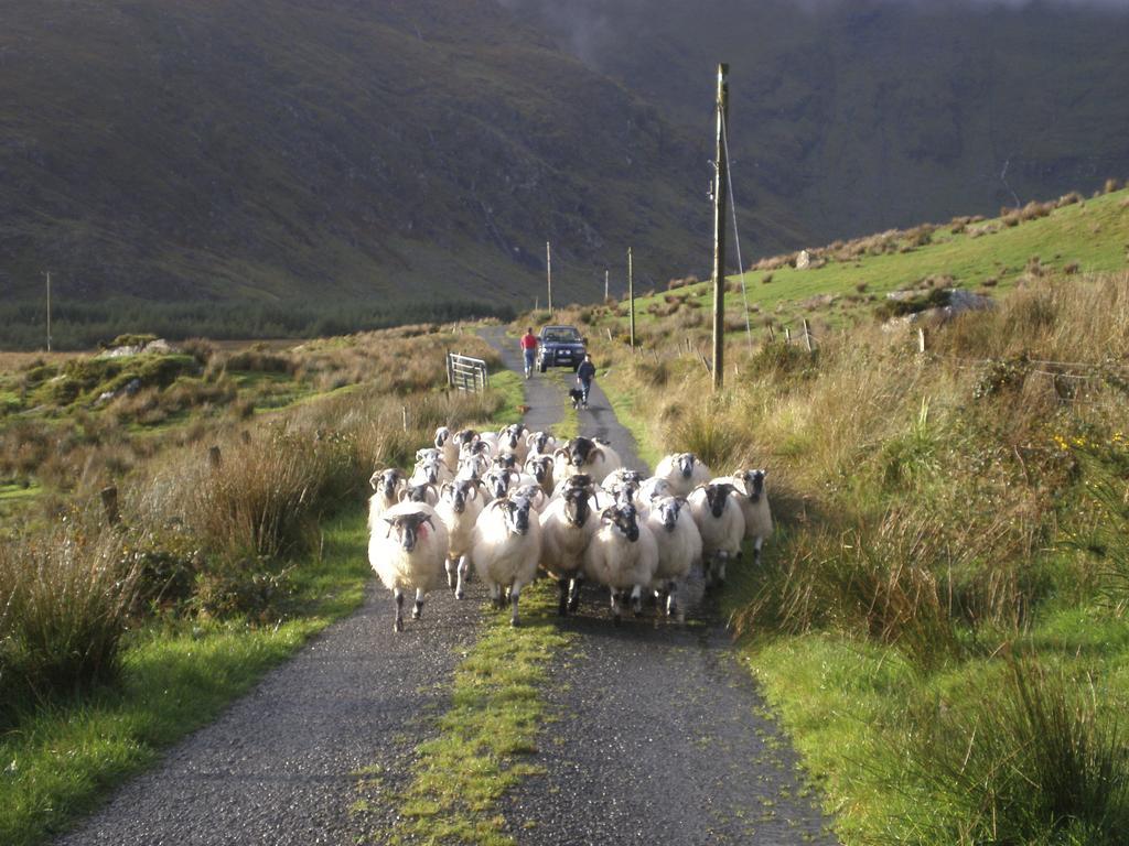 Riverlodge Self Catering Kenmare Camera foto